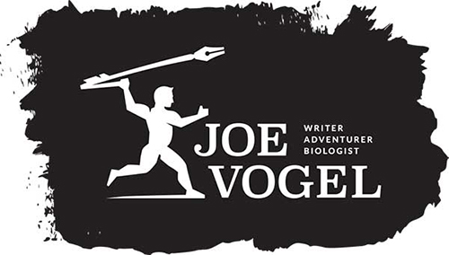 logo-joe-vogel