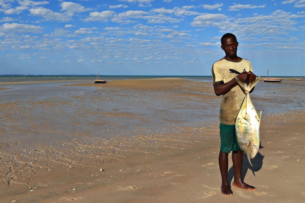 Afrikaner mit Thunfisch am Meer