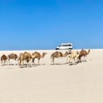 EV Overlanding nach Dakar