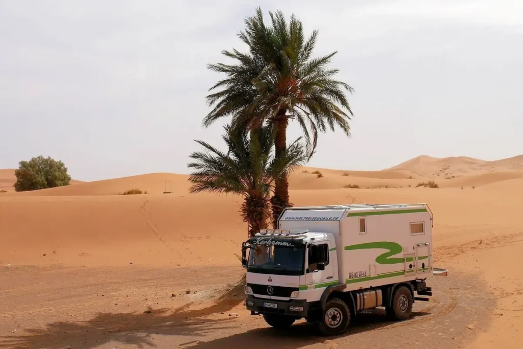 Ein weißes 4x4 Expeditionsmobil steht in der Wüste neben zwei Palmen.