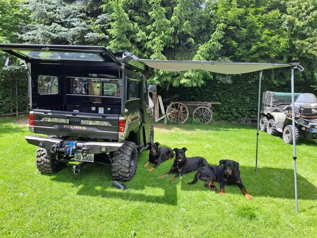 Ein Polaris Side-by-Side Geländefahrzeug mit offenem Aufbau, ausgefahrener Markise und vier Hunden.